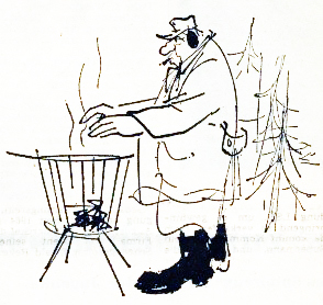 Einen Christbaum kaufen