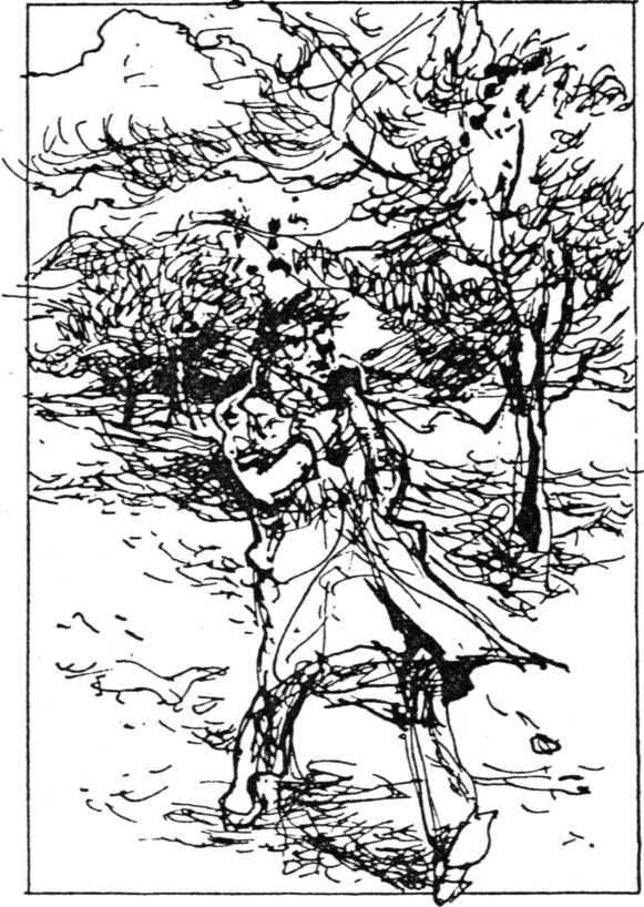 Der Wind kommt aus den Wäldern